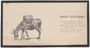 Sheep Ranching